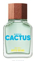 Perfume Benetton Green Cactus for Him United Dreams Masculino Eau de Toilette